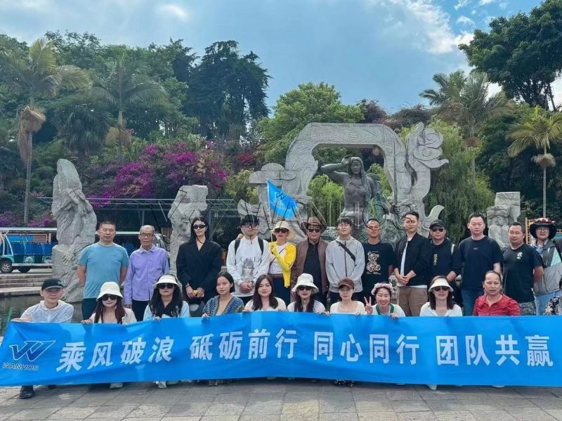 wanhos solar team building