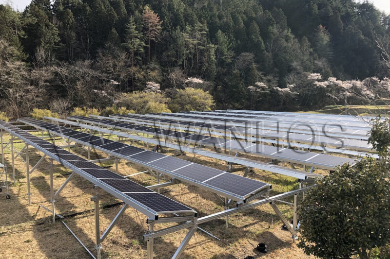 Wanhos Japanese Solar Agrivoltaics Project