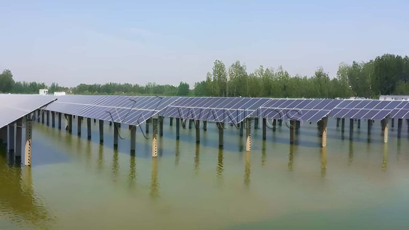 Aquavoltaics: Integrating Solar with Fisheries
