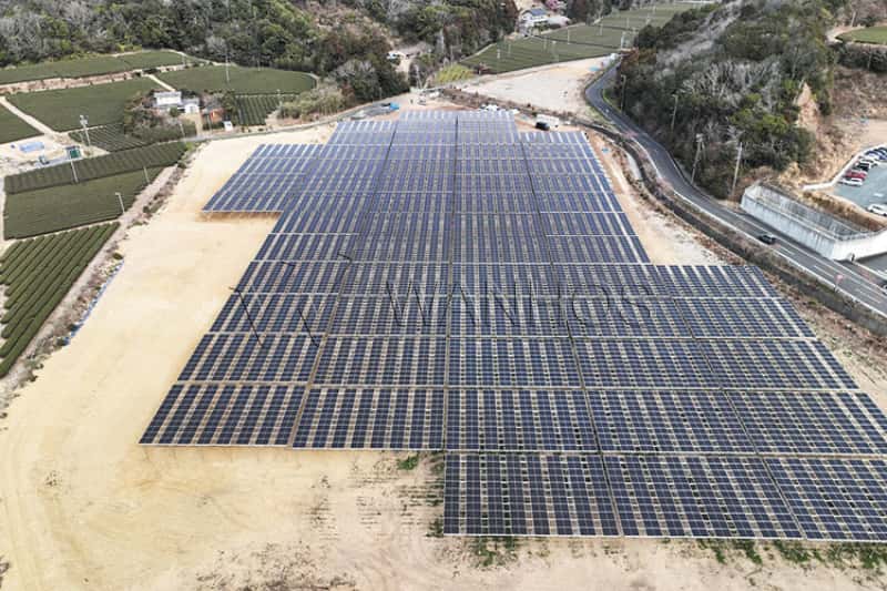 Two Years of Green Growth: Client Reports Success from Shizuoka Solar Farm