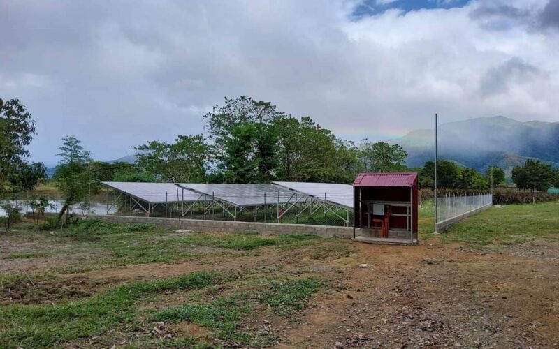 New to Solar? 65 PV Plant FAQs to Solve Your Doubts