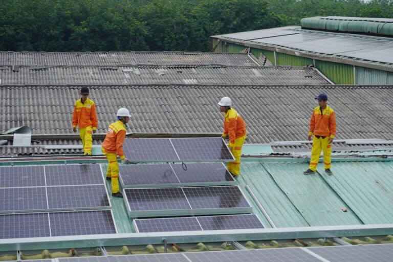 agri-voltaic