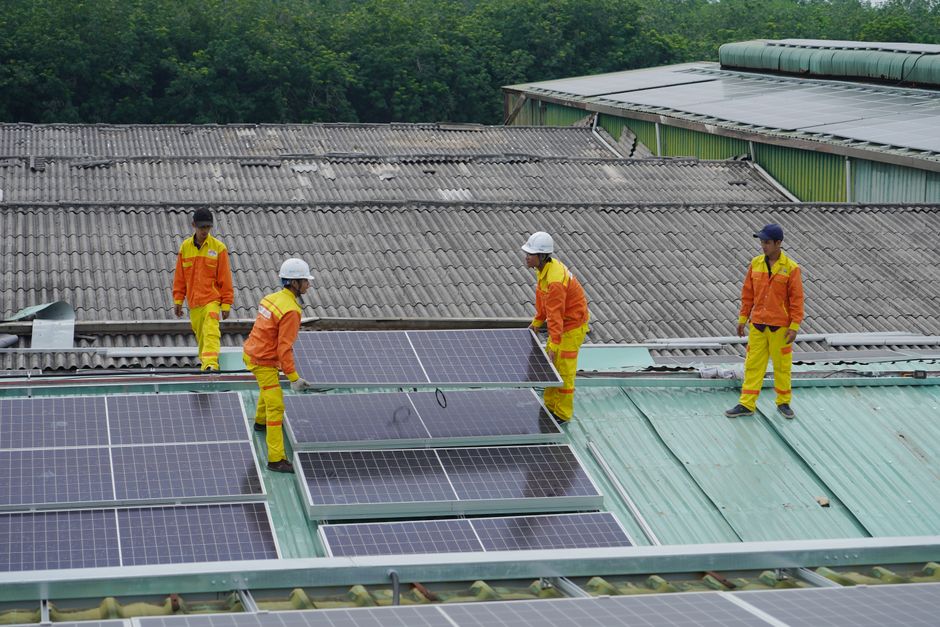 agri-voltaic